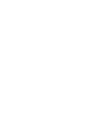 Mr. model negru pe tricou