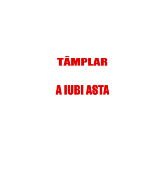 Sunt suficient de priceput pentru a fi TÂMPLAR și suficient de nebun pentru a iubi asta model negru pe tricou