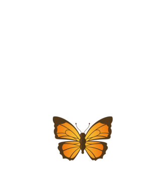 Butterfly model alb pe tricou