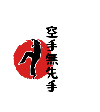 Larusso training japan model alb pe tricou