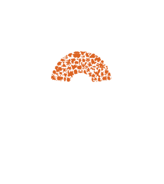 Pokeball model negru pe tricou