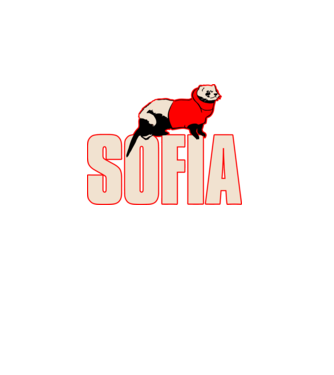 sofia la casa de papel model turcoaz pe tricou