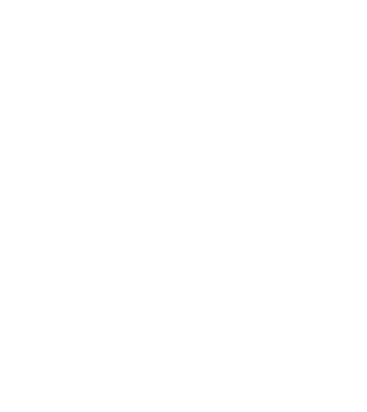 EarthLogo model negru pe tricou