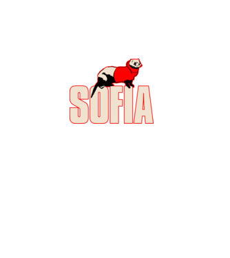 sofia la casa de papel model negru pe tricou