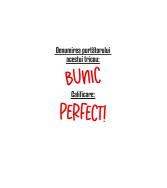 Denumirea purtătorului acestui tricou: bunic! Calificare: Perfect! model alb pe tricou