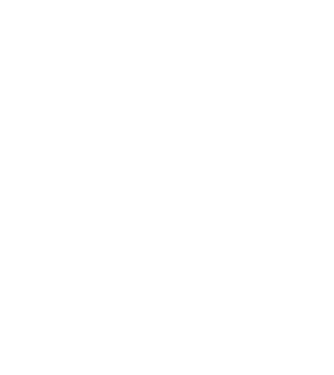 EarthLogo model negru pe tricou