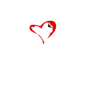heartclimb model alb pe tricou