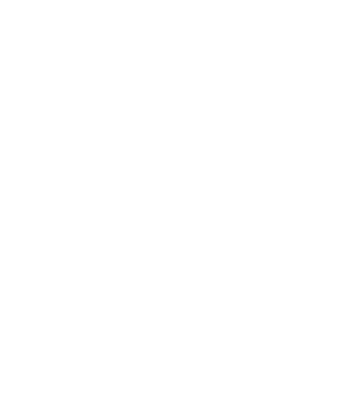 Box evoluție model negru pe tricou