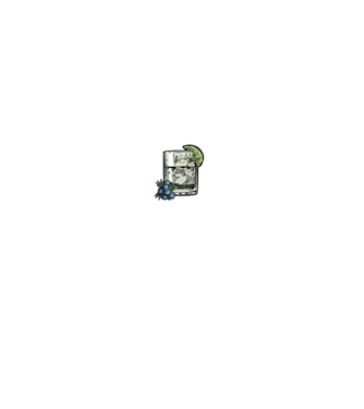 Let the fun be gin model negru pe tricou