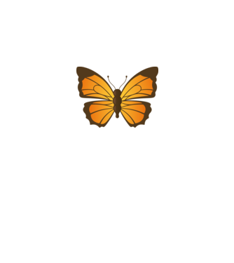 Butterfly model alb pe tricou
