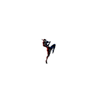 Muay Thai model negru pe tricou