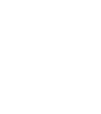 Așa arată un stăpân de Havanese foarte chipeș model negru pe tricou