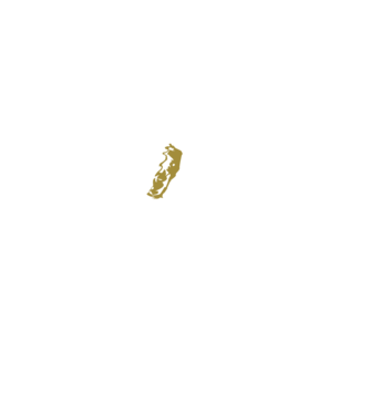 King in the north 2c model negru pe tricou