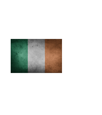 IRELAND model alb pe tricou
