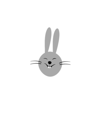 rabbit model alb pe tricou