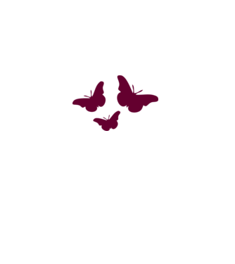 Butterflies model alb pe tricou