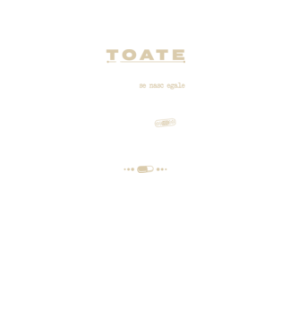 toate femeile se nasc egale, dar numai cele mai bune devin asistente medicale model negru pe tricou