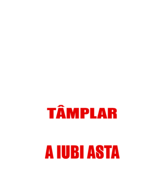 Sunt suficient de priceput pentru a fi TÂMPLAR și suficient de nebun pentru a iubi asta model negru pe tricou