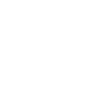 EarthLogo model negru pe tricou