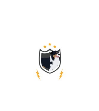 serviciu de securitate - securitate - persistență - 24 de ore pe zi model negru pe tricou