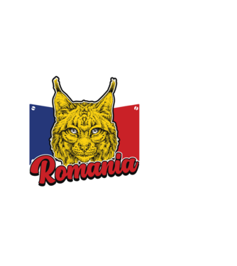 Legends are born in România november model negru pe tricou