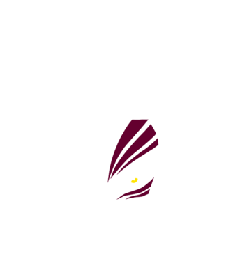 Ichigo Hollow Mask model negru pe tricou