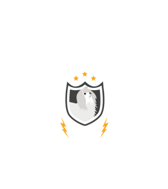 serviciu de securitate - securitate - persistență - 24 de ore pe zi model negru pe tricou