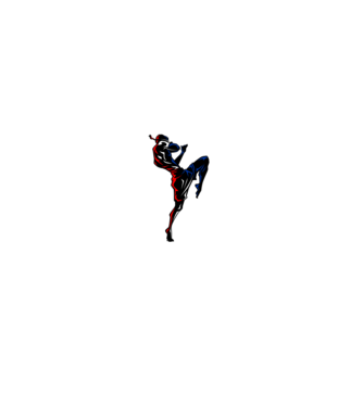 Muay Thai model negru pe tricou