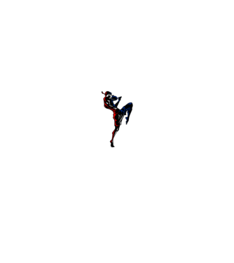 Muay Thai model negru pe tricou