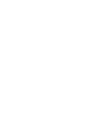 EarthLogo model negru pe tricou
