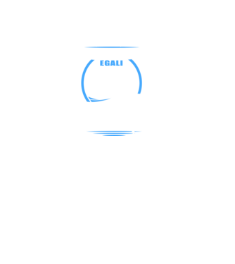Toți bărbații se nasc egali, dar numai cei mai buni devin jurnaliști model negru pe tricou