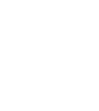 ADVENTURE model galben neon pe tricou