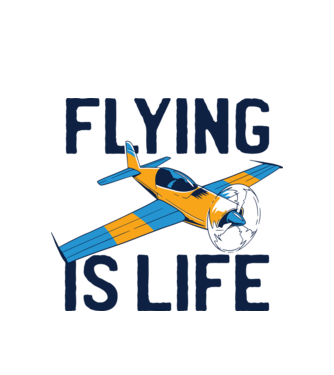 Avioane model alb pe tricou