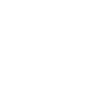 Nimeni nu e perfect, dar șoferii de dube sunt foarte aproape model negru pe tricou