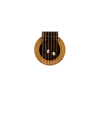 Guitar prison model negru pe tricou