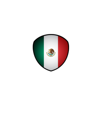 MEX-jabulani-flag model alb pe tricou