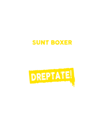sunt boxer - pentru a economisi timp, să reținem că am întotdeauna dreptate model negru pe tricou