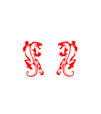 Aikido 2 model alb pe tricou