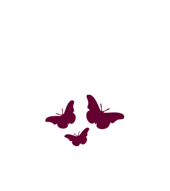 Butterflies model alb pe tricou
