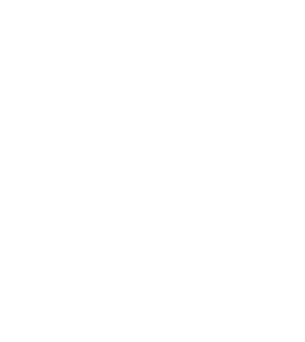 LOVE Havanese model negru pe tricou