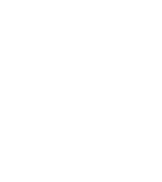 Bug fixed model negru pe tricou