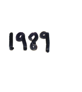 Taylor Swift 1989 text model negru pe tricou