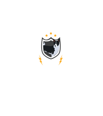 serviciu de securitate - securitate - persistență - 24 de ore pe zi model negru pe tricou