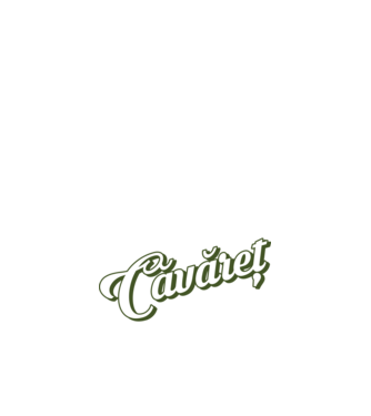 Cel mai bun Căvăret din lume model nisipiu pe tricou