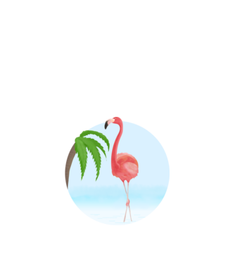 Flamingo model alb pe tricou
