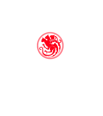 Mother of cats model negru pe tricou