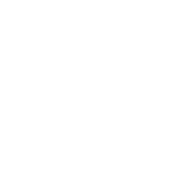 Crazy Cat Ladies are born in January model negru pe tricou