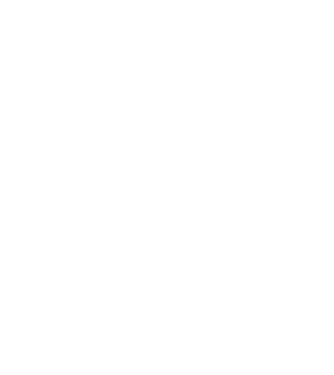 Box evoluție model negru pe tricou