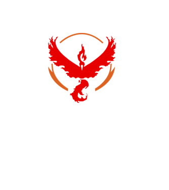 Valor team logo model alb pe tricou