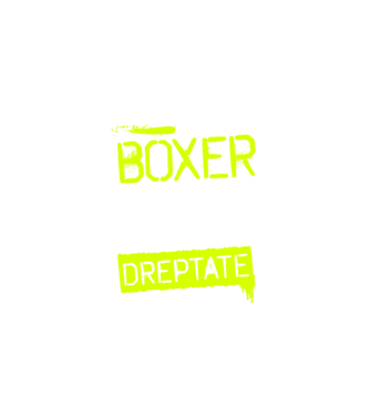 Sunt boxer, pentru a economisi timp, să reținem că am întotdeauna dreptate model negru pe tricou
